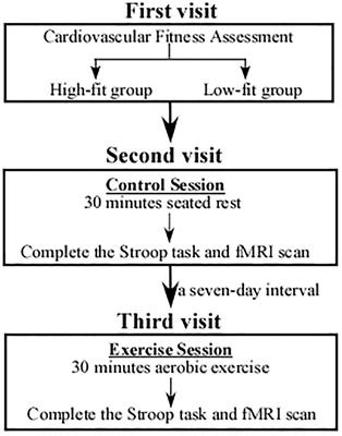 Does Cardiorespiratory Fitness Influence the Effect of Acute Aerobic Exercise on Executive Function?